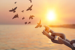 birds breaking free from chains